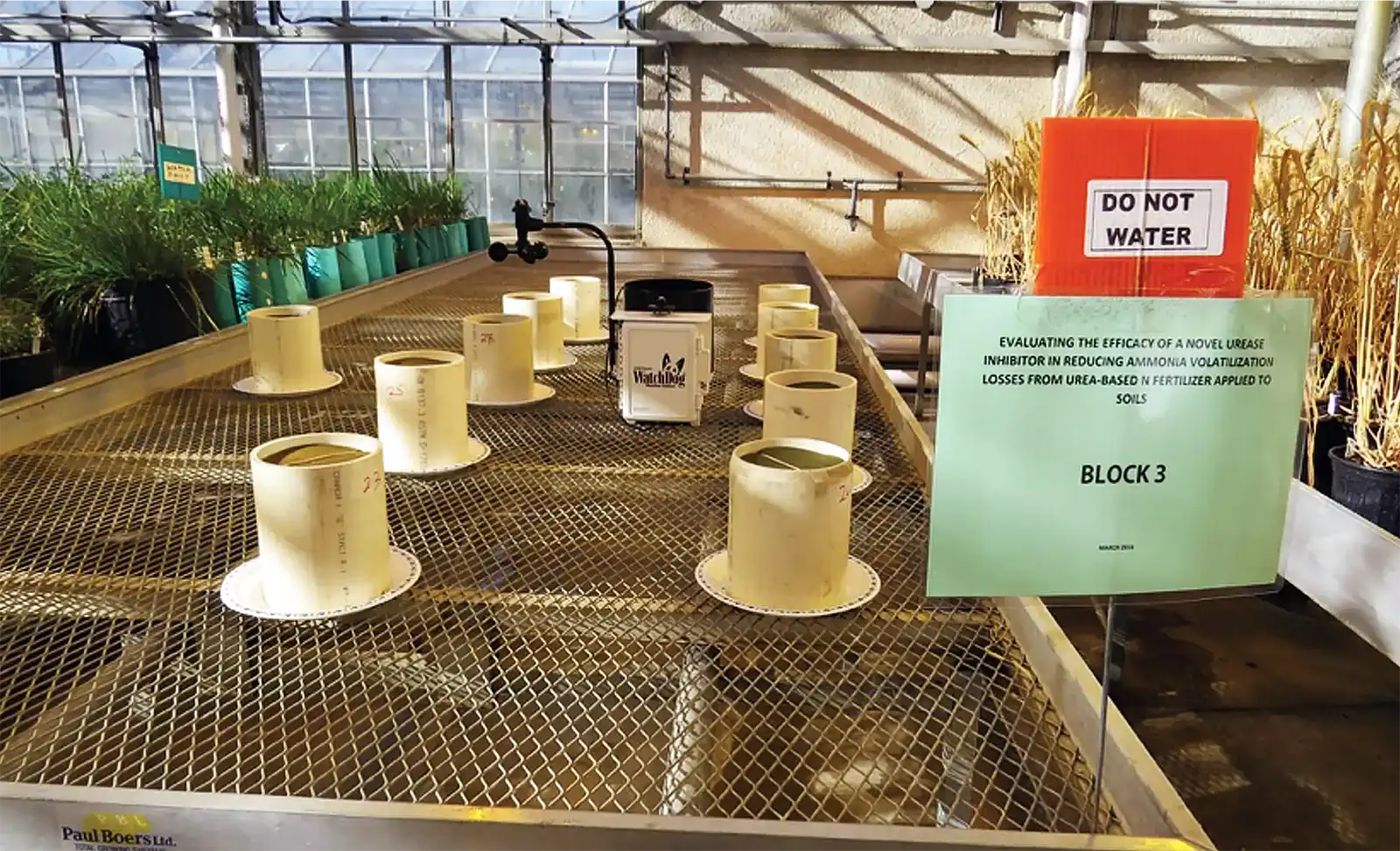 Active AgriScience Nitrogen Stabilizer greenhouse research.