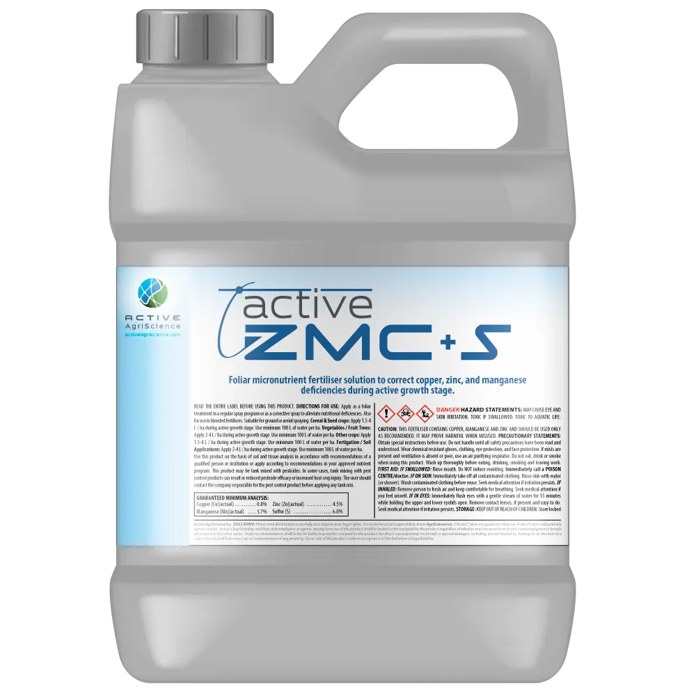 Active-ZMCS-Jug