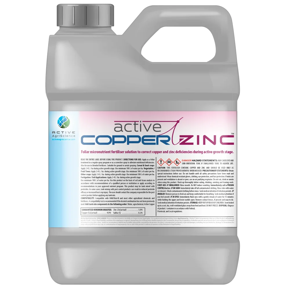 active-copper-zinc-jug